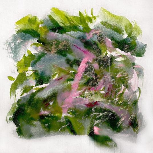 Forest Scenes (Light Pink & Red Vinyl Edition) - Vinile LP di Mizu