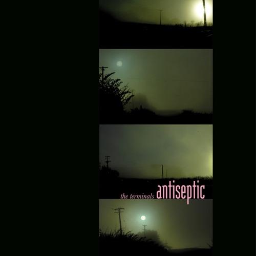 Antiseptic - CD Audio di Terminals