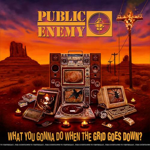 What You Gonna Do When The Grid Goes Down? - CD Audio di Public Enemy