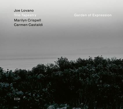 Garden Of Expression - CD Audio di Joe Lovano