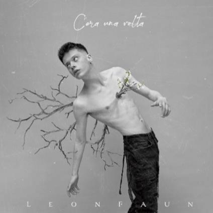 C'era una volta - Vinile LP di Leon Faun