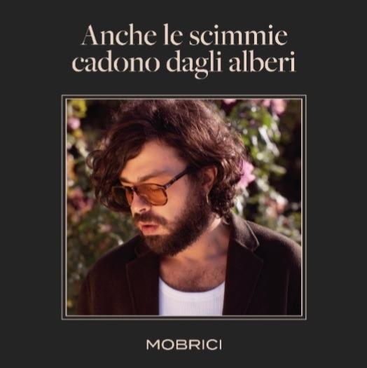 Anche le scimmie cadono dagli alberi - Vinile LP di Mobrici