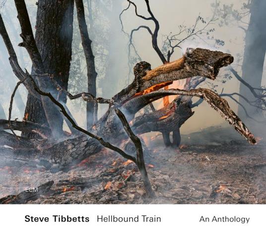 Hellbound Train. An Anthology - CD Audio di Steve Tibbetts