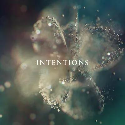 Intentions - Vinile LP di Anna