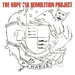 The Hope Six Demolition Project