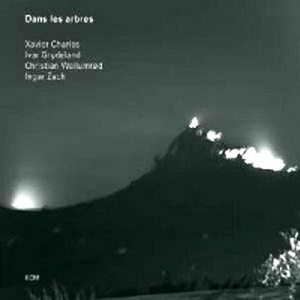 Dans les arbres - CD Audio di Christian Wallumrod,Ingar Zach,Xavier Charles,Ivar Grydeland