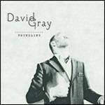 Foundling - CD Audio di David Gray