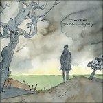 The Colour in Anything - Vinile LP di James Blake