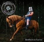Brothers in Farms - CD Audio di Steve n Seagulls