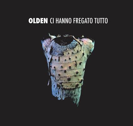 Ci hanno fregato tutto - CD Audio di Olden