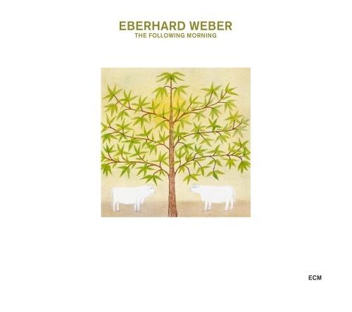 The Following Morning - CD Audio di Eberhard Weber