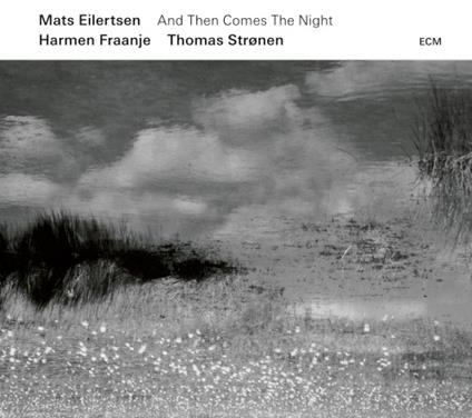 And Then Comes the Night - CD Audio di Mats Eilertsen