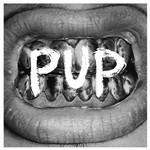 Pup - CD Audio di Pup