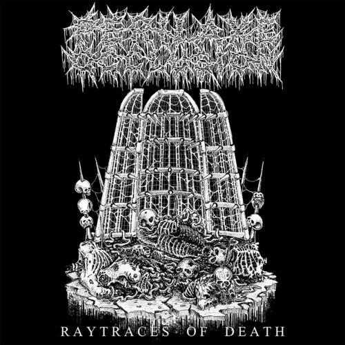 Raytraces of Death - CD Audio di Perilaxe Occlusion