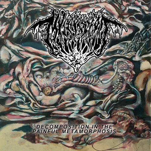 Decomposition in the Painful Metamorphosis - CD Audio di Mvltifission