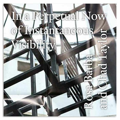 In a Perpetual Now of Instantaneous Visibilty - CD Audio di Chad Taylor,Rosa Barba