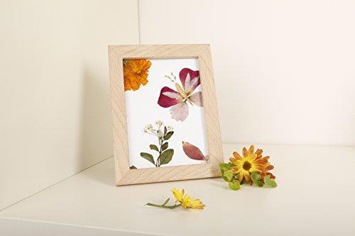 Huckleberry Pressed Flower Frame - 2