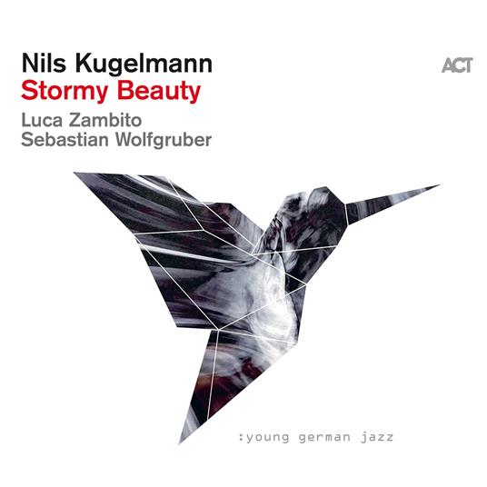 Stormy Beauty - Vinile LP di Nils Kugelmann