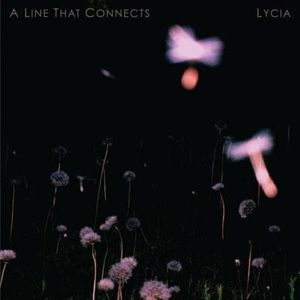 A Line That Connects - Vinile LP di Lycia