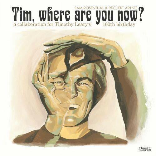 Tim, Where Are You Now? - CD Audio di Sam Rosenthal