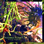 Possible Planet - CD Audio di Steve Roach