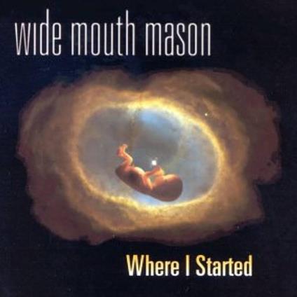 Where I Started - Vinile LP di Wide Mouth Mason