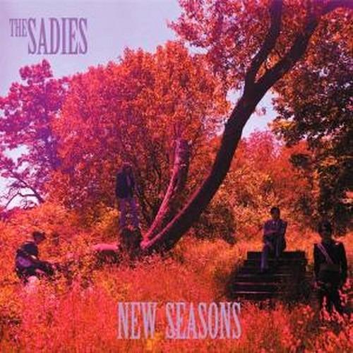 New Seasons - CD Audio di Sadies