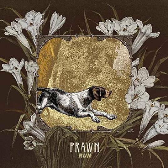 Run - CD Audio di Prawn