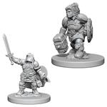 D&D Nolzur Mum Dwarf Female Paladin