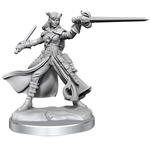 Dungeons & Dragons Frameworks Miniature Model Kit Tiefling Rogue Female