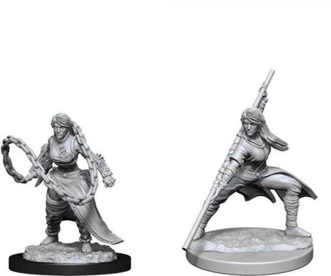 D&d Nolzur's Marvelous Miniatures Unpainted Miniatures Human Monk Female Case (6) Wizbambino