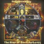 The Hour of Bewilderbeast - CD Audio di Badly Drawn Boy