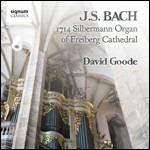 L'organo Silbermann 1714 della cattedrale di Friburgo - CD Audio di Johann Sebastian Bach,David Goode