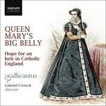 Queen Mary's Big Belly - CD Audio di Gallicantus