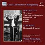 Ouvertures - CD Audio di Ludwig van Beethoven,Royal Concertgebouw Orchestra,Willem Mengelberg