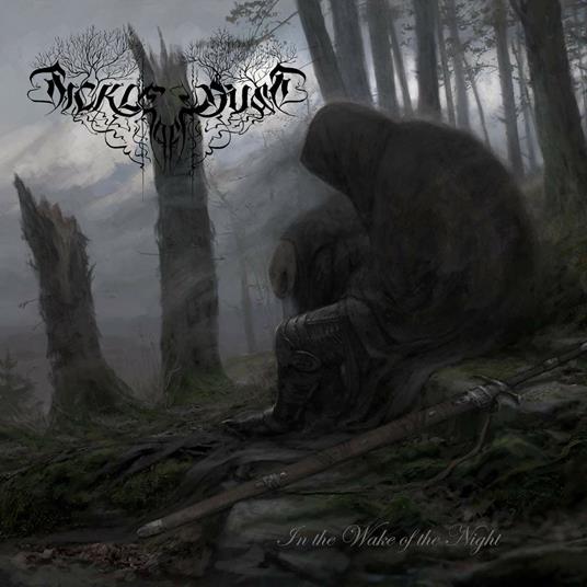 In the Wake of the Night - CD Audio di Sickle of Dust