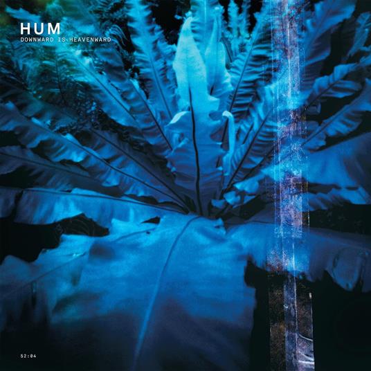 Downward Is Heavenward - Vinile LP di Hum