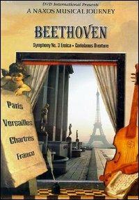 Ludwig Van Beethoven. Symphony No. 3 Eroica. A Naxos Musica Journey (DVD) - DVD di Ludwig van Beethoven,Michael Halasz