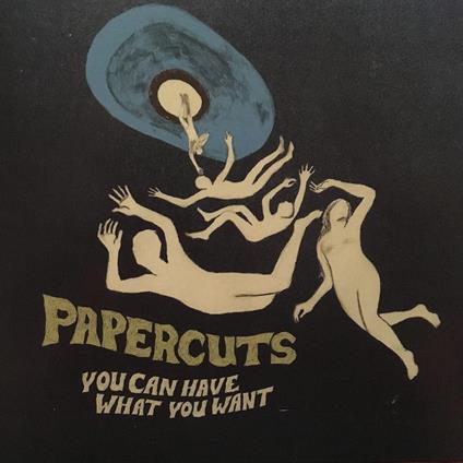 You Can Have What You Want - Vinile LP di Papercuts