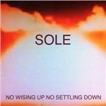 No Wising Up No Settling Down - CD Audio di Sole