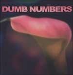 Dumb Numbers - Vinile LP di Dumb Numbers