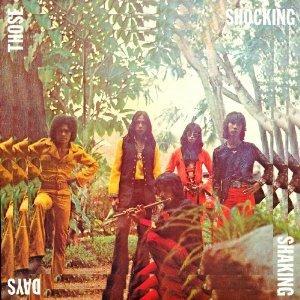 Those Shocking Shaking Days - Vinile LP