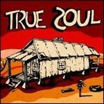 True Soul. Deep Sounds from the Left of Stax - CD Audio + DVD