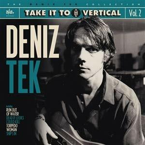 Take It To The Vertical - Vinile LP di Deniz Tek