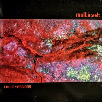 Rural Sessions (2 Lp) - Vinile LP di Multicast Dynamics