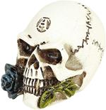 Alchemist Skull Collectible Miniature