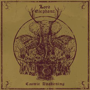 Cosmic Awakening - Vinile LP di Lord Elephant
