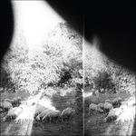 Asunder, Sweet and Other Distress - CD Audio di Godspeed You Black Emperor