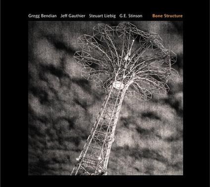 Bone Structure - CD Audio di Gregg Bendian,Stewart Liebig