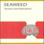 Actions and Indications - Vinile LP di Seaweed